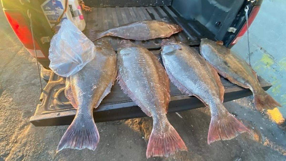 A commercial fisherman was caught hiding over 2,000 pounds of fish behind a false wall in his trawling vessel, California wildlife officers said.