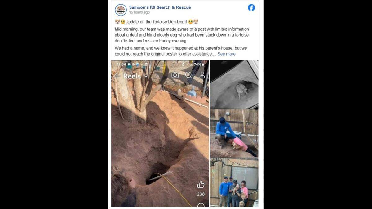 A 15-year-old dog was rescued from a tortoise den in Arizona, rescuers said.