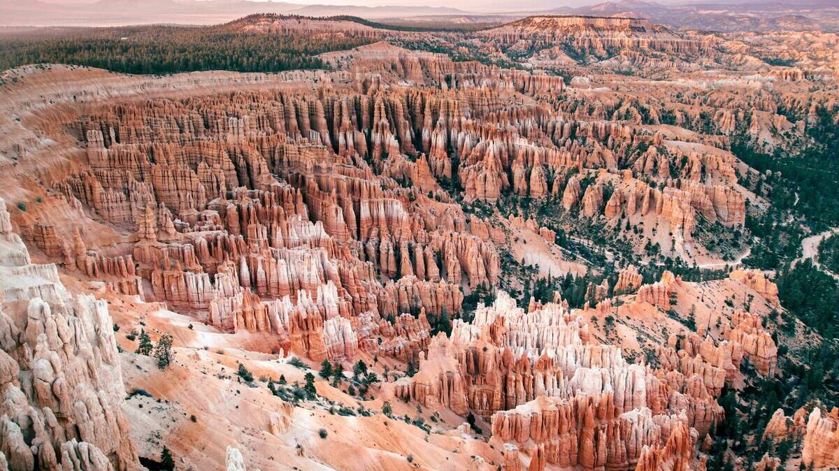 Tourists spotted the bodies of two people who fell 380 feet to their deaths from a cliff in Bryce Canyon National Park, officials said.