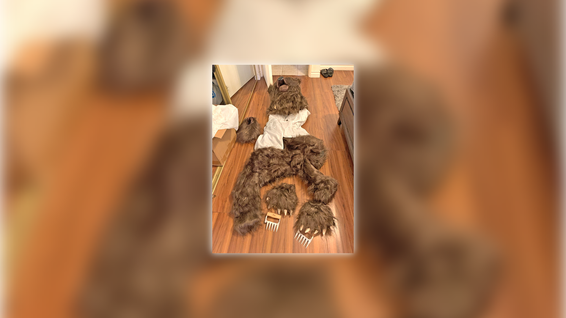 Three people have been sentenced to jail in a Los Angeles, California, insurance fraud case involving luxury vehicles damaged by someone in a bear suit, officials say.