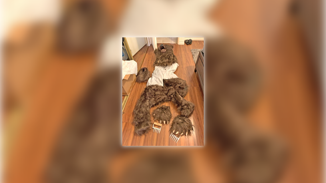 Bear suit scam: 3 face jail in ‘bizarre’ California car insurance fraud case