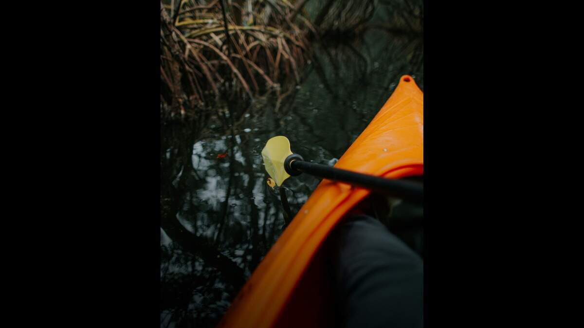 A kayaker spotted a woman’s decomposing body floating in a California river, deputies say.