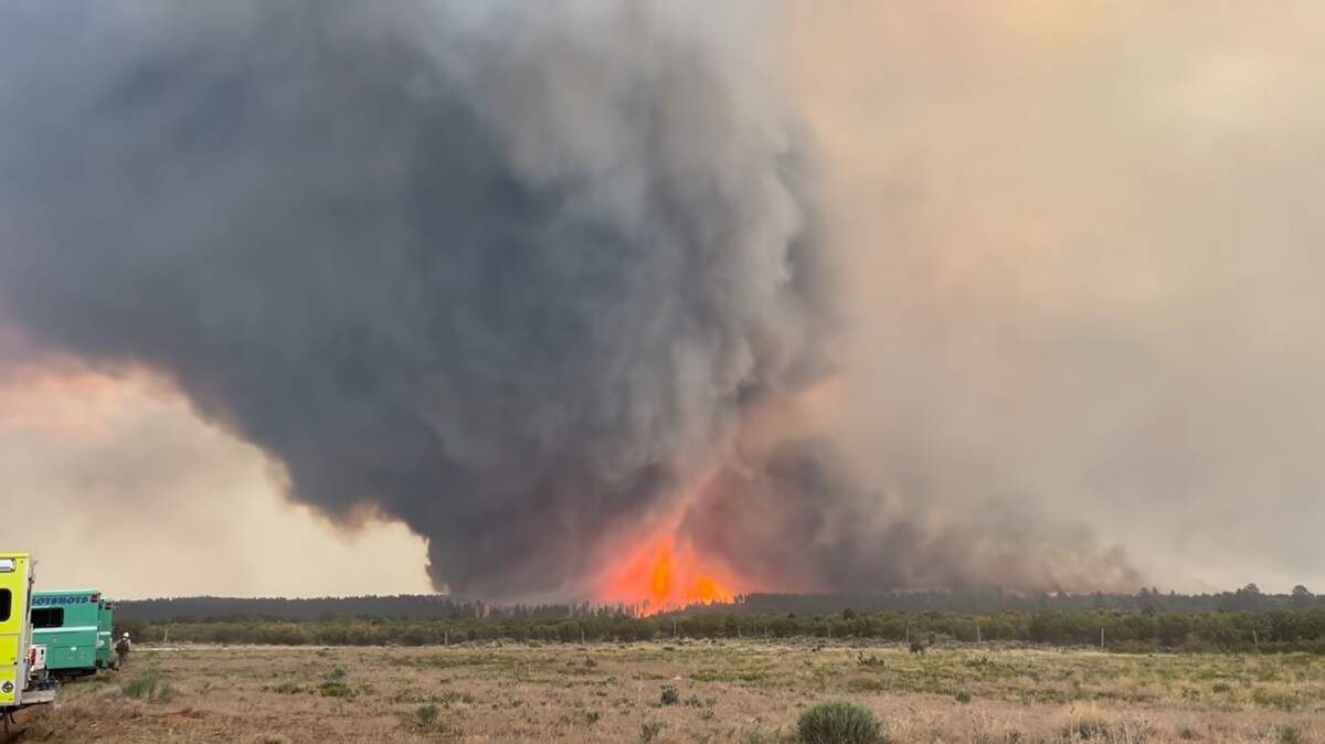 Furious firenados tore across Colorado and Utah as wildfires ravaged thousands of acres, videos show.