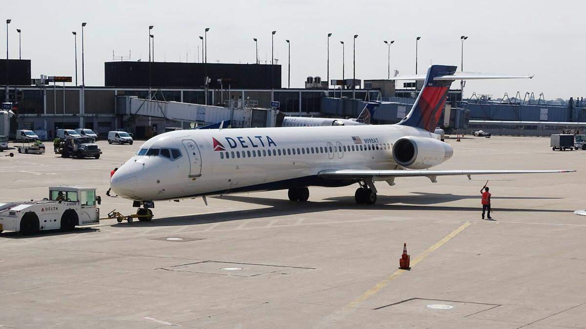 A veterinarian on the flight also provided care to the dog and medical personnel met the flight when it landed