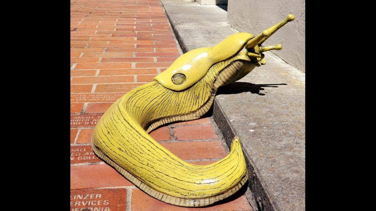 A 2-foot long ceramic slug was stolen from a Northern California museum, police said.