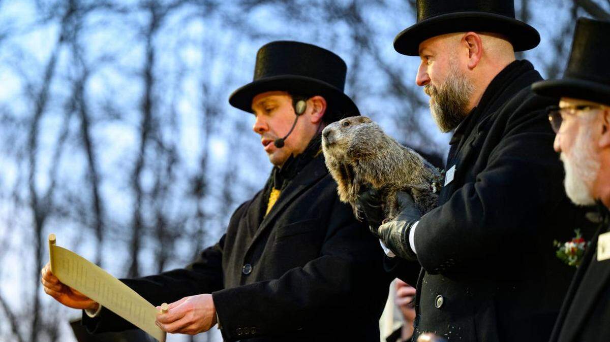 PUNXSUTAWNEY, PENNSYLVANIA - FEBRUARY 2: Handler AJ Dereume holds Punxsutawney Phil after he saw his shadow predicting 6 more weeks of winter during the 139th annual Groundhog Day festivities on Friday February 2, 2025 in Punxsutawney, Pennsylvania. Groundhog Day is a popular tradition in the United States and Canada. If Punxsutawney Phil sees his shadow he regards it as an omen of six more weeks of bad weather and returns to his den. Early spring arrives if he does not see his shadow, causing Phil to remain above ground. (Photo by Jeff Swensen/Getty Images)