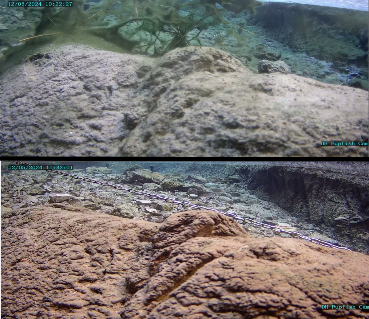 Photos show the shelf before and after the quake that produced catastrophic waves inside the underwater cavern.