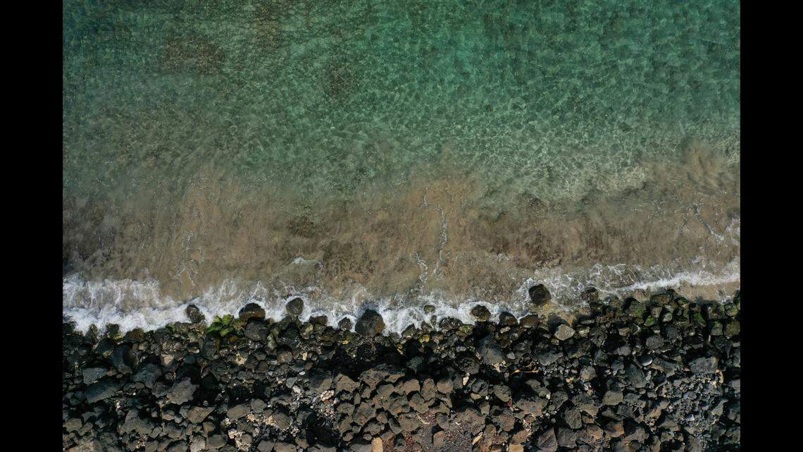 A “highly venomous” 3-foot creature was found on a beach in Hawaii, officials said.