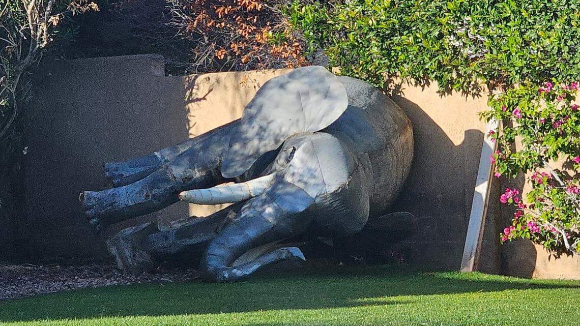 A wind-toppled elephant statue prompted a mistaken 911 call about a dead elephant, police say.