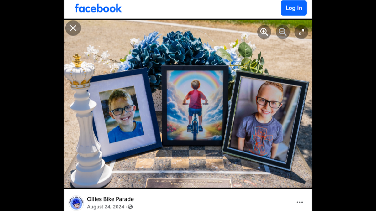 Ollie Stratton, 10, died after being hit by a vehicle while riding his bike, Colorado officials said.