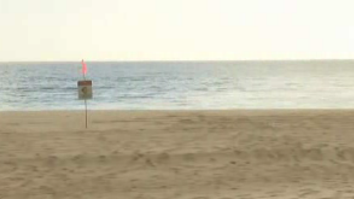 View of Makaha beach where the shark attack occurred.