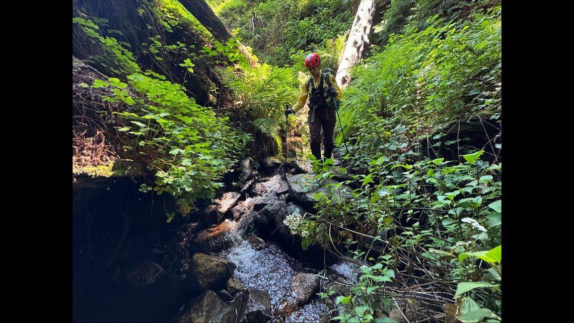 After learning of the missing woman, deputies said they, along with its search and rescue team and California State Park officials, started searching for the missing hiker.