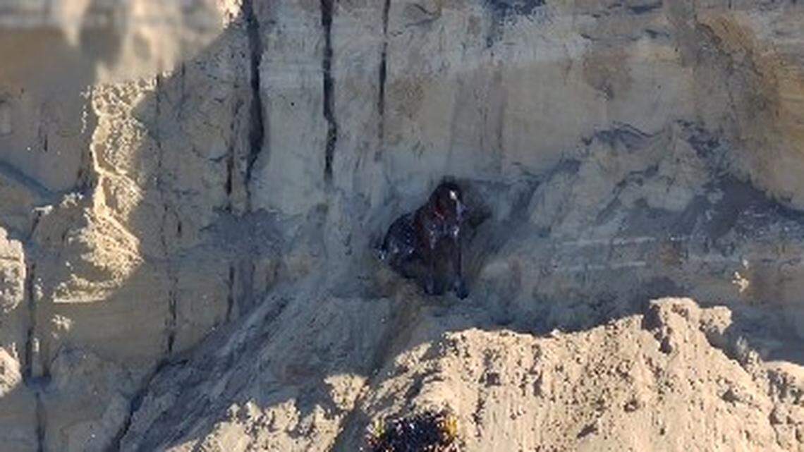 Dog trapped on ledge after 40-foot tumble off cliff, California ...