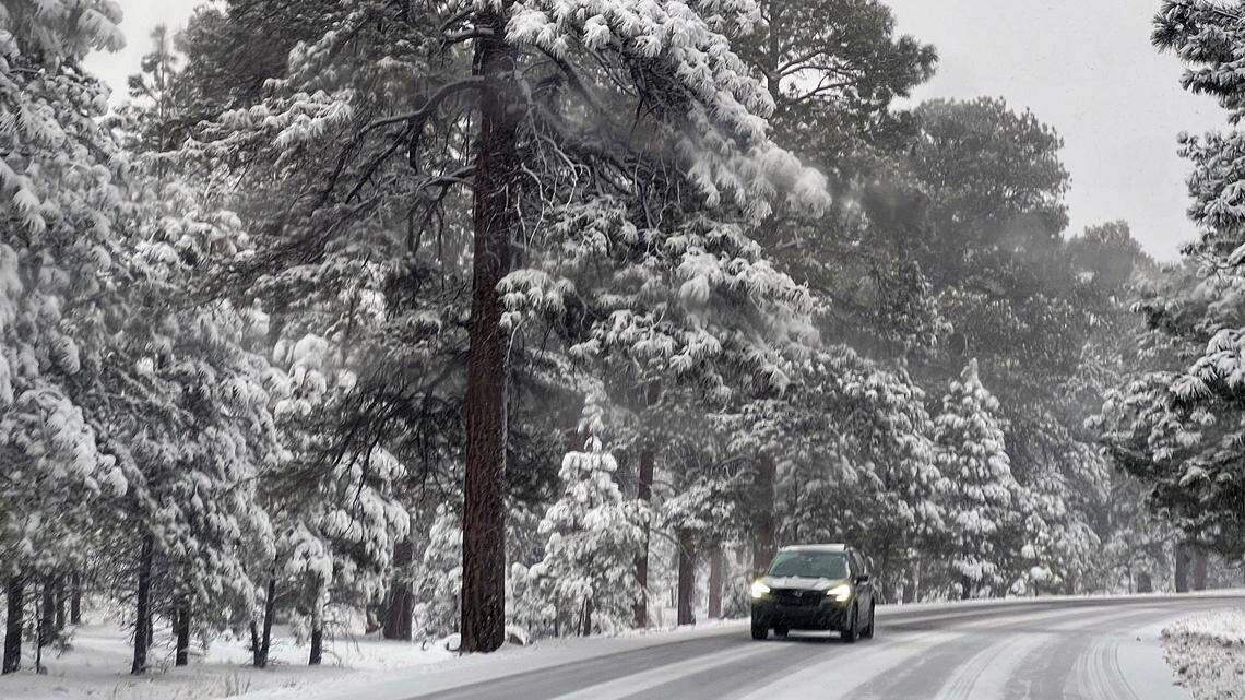 This photo shows the winter weather conditions near the Arizona national park on March 14, a day after a family vanished.