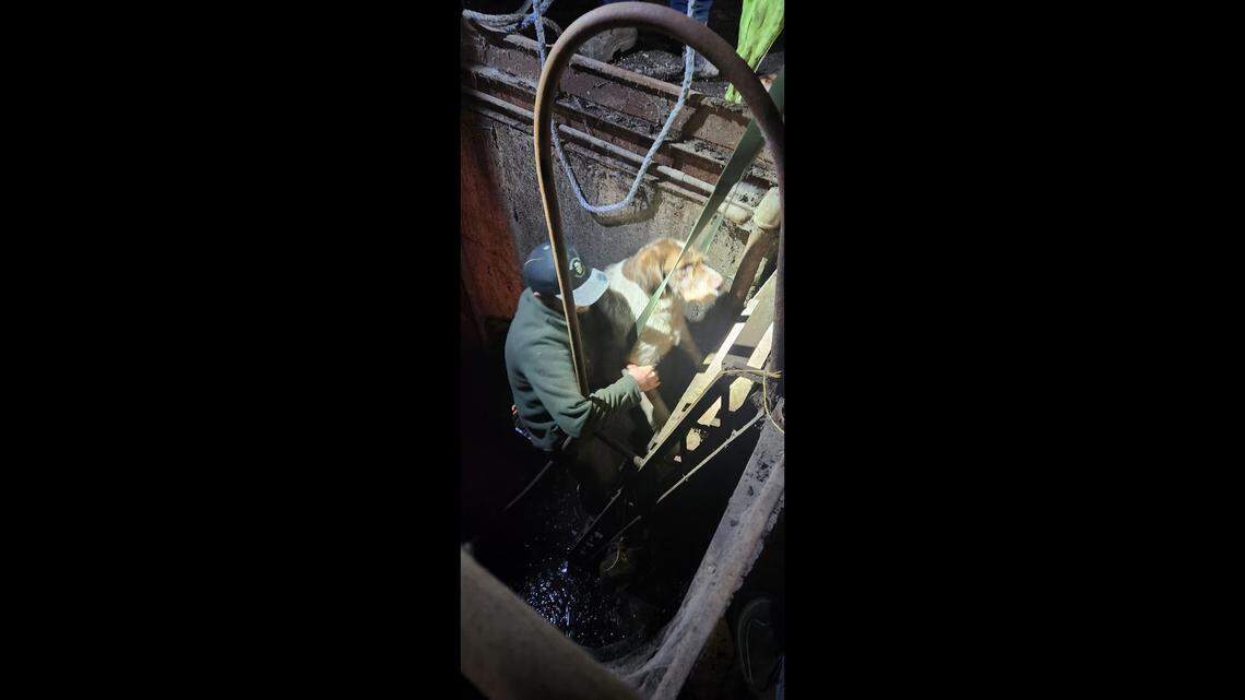 The rescue said it got “all 117 pounds of her out.”&nbsp;