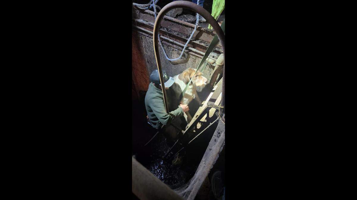 The rescue said it got “all 117 pounds of her out.”&nbsp;
