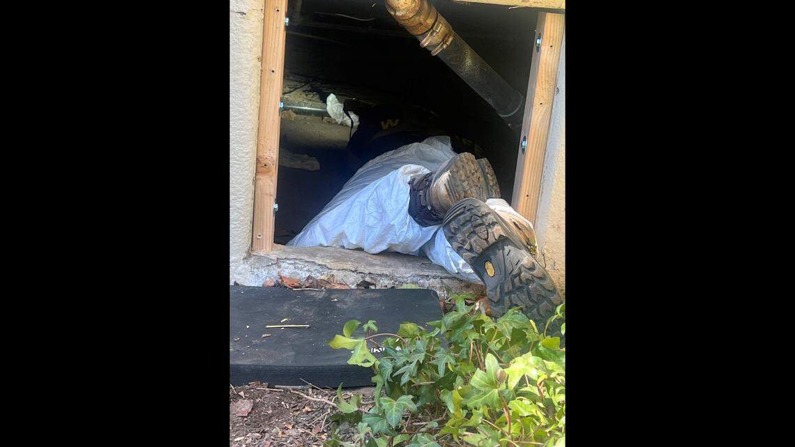 Wildlife officials said they worked for 24 hours to remove the bear from the crawl space.