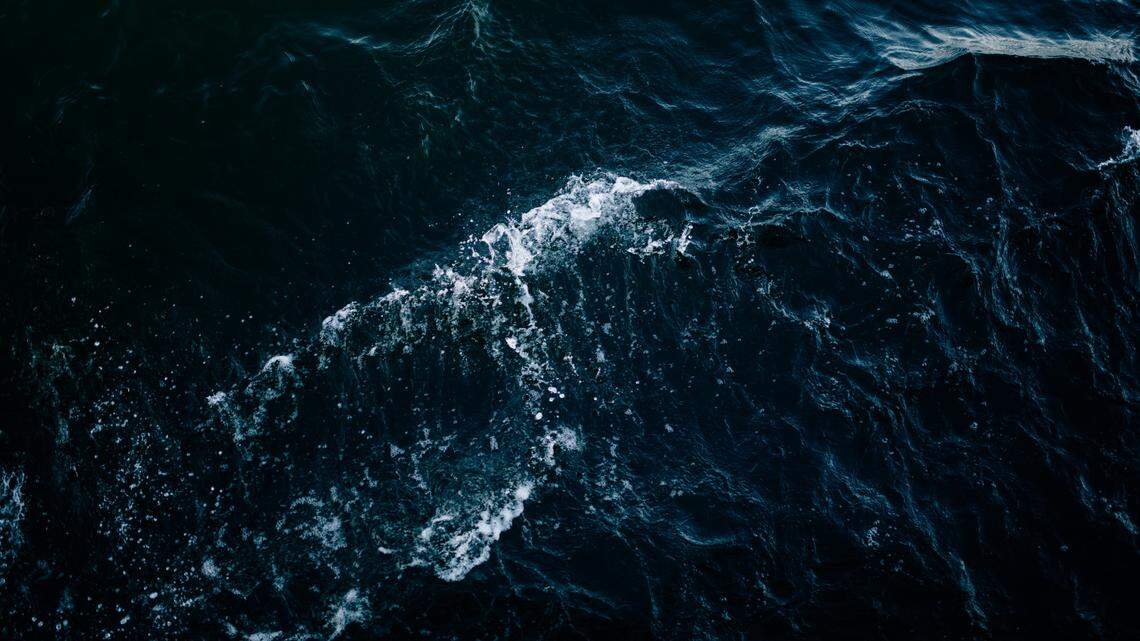 A Pacific football fish washed up on the shore of a California state park, officials said.