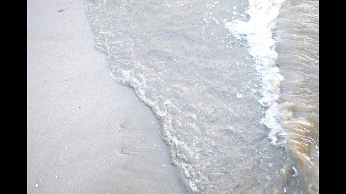 An orphaned sea otter was found on a beach in Alaska, officials said.