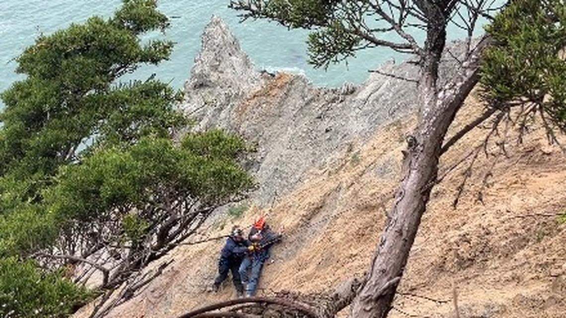 The visitors were admiring views of the Golden Gate Bridge when one dropped his phone, rescuers say.