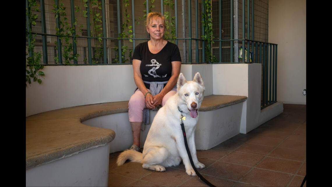 A dog hurt in the Eaton Fire has found a home, marking a “milestone,” a shelter said.