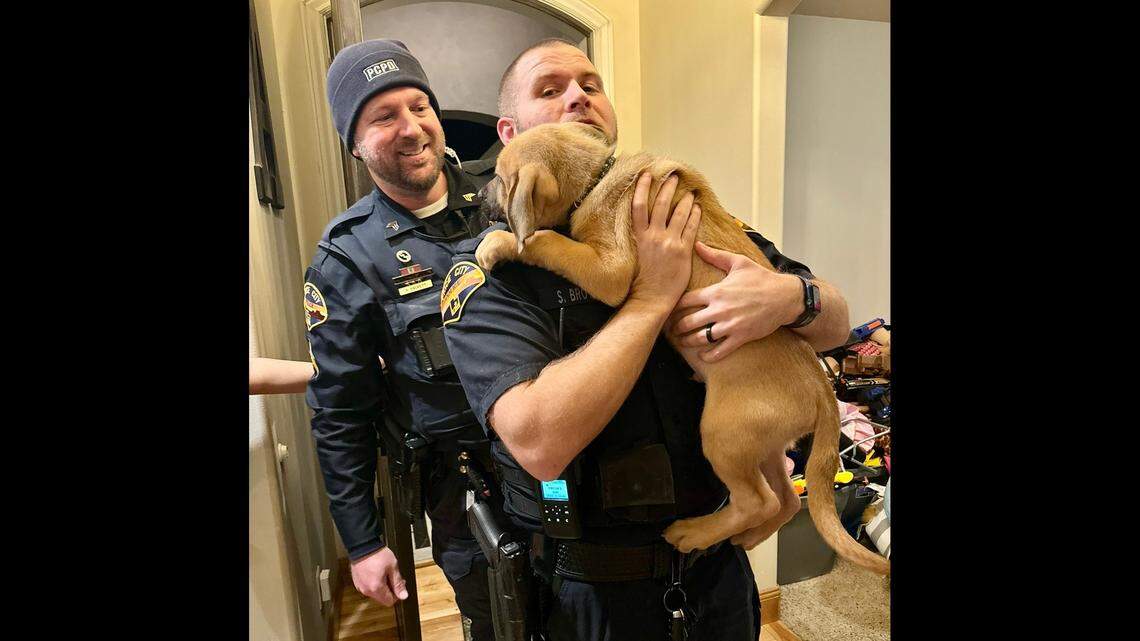 “Numerous officers” offered to foster the pup.