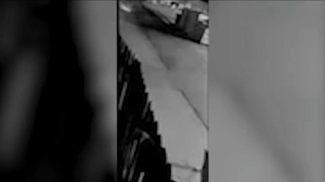 A rarely-seen creature was spotted on home surveillance video roaming along a downtown street in a northern California town.