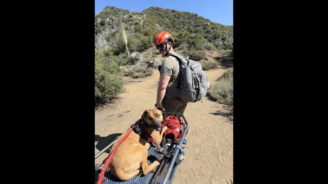 The rescue team carried Lulu back down the trail to safety using a wheeled litter.