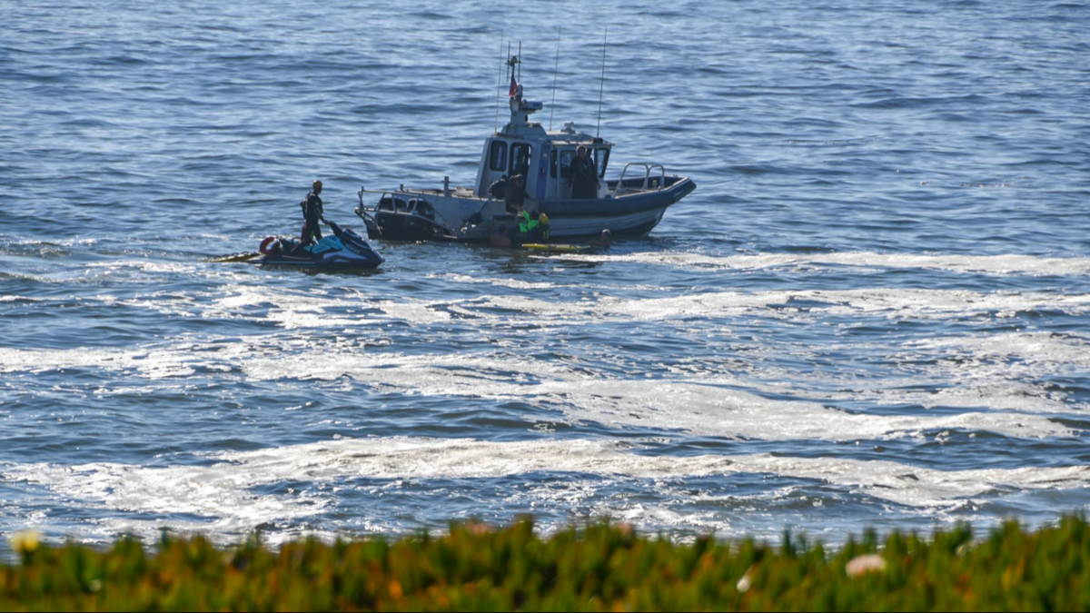 The car went over a cliff near the intersection of West Cliff and Swift Street, Santa Cruz fire officials said.