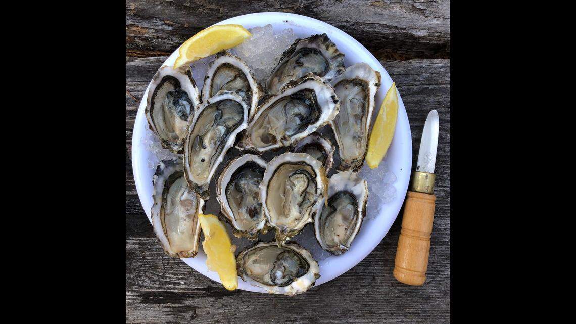 An outbreak of norovirus, also known as the stomach flu, has been linked to imported raw oysters served at restaurants, California officials say.
