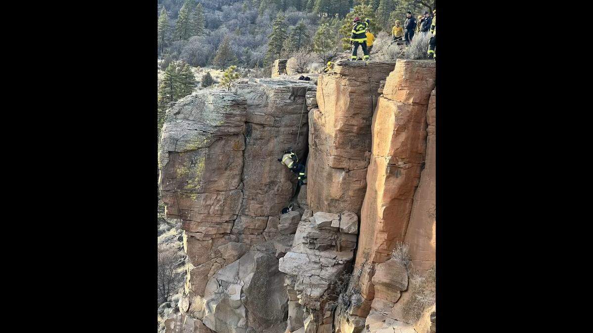 Firefighters lowered down to rescue a dog that was trapped on a rocky ledge on high cliffs near a California highway, video shows.