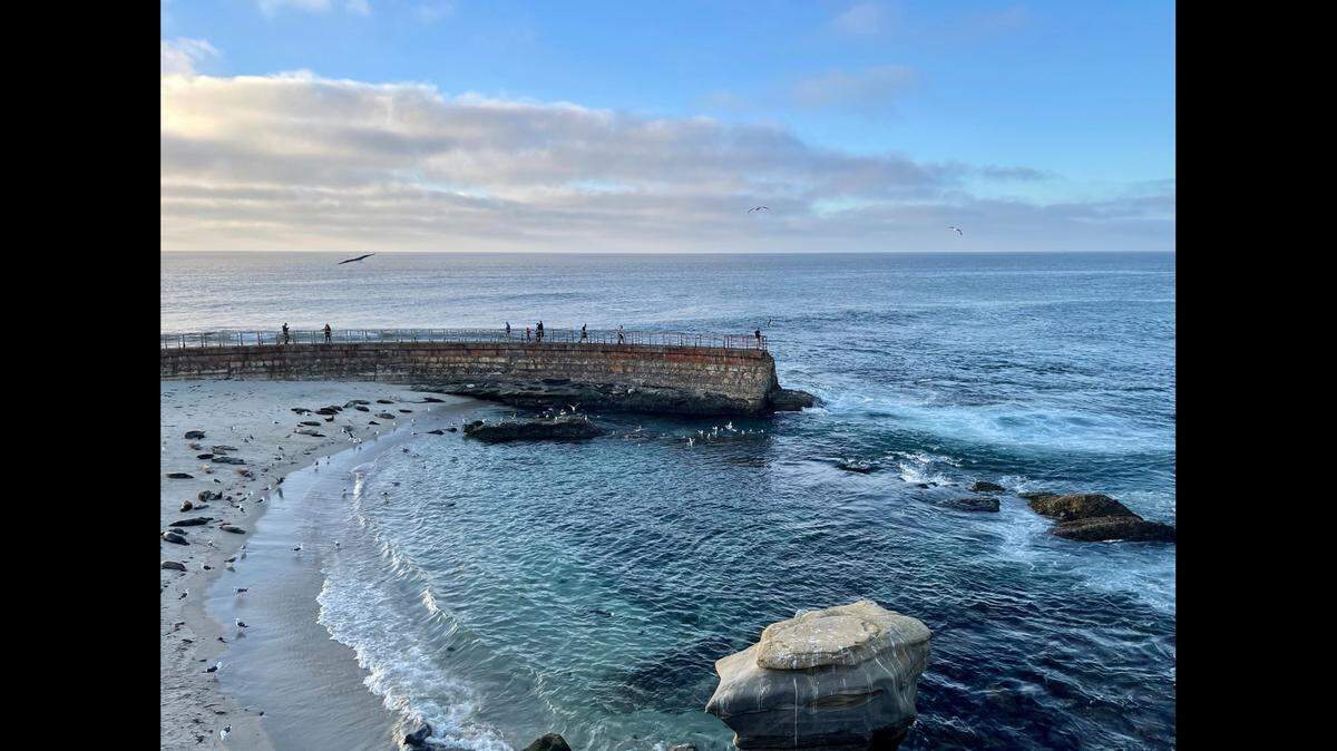A tourist died after vanishing while scuba diving with a group in a California cove, according to officials. 