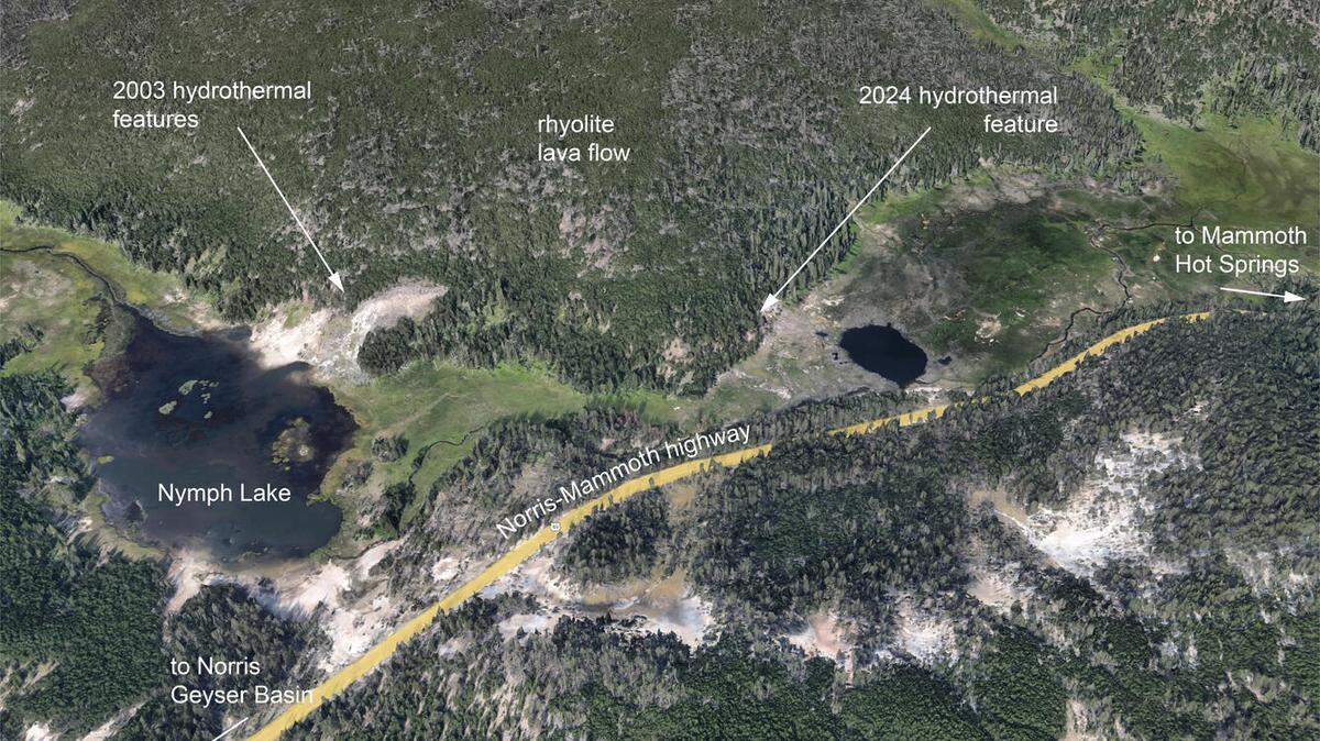 A park scientist discovered a new hydrothermal feature while driving through Yellowstone National Park during the overactive summer season.