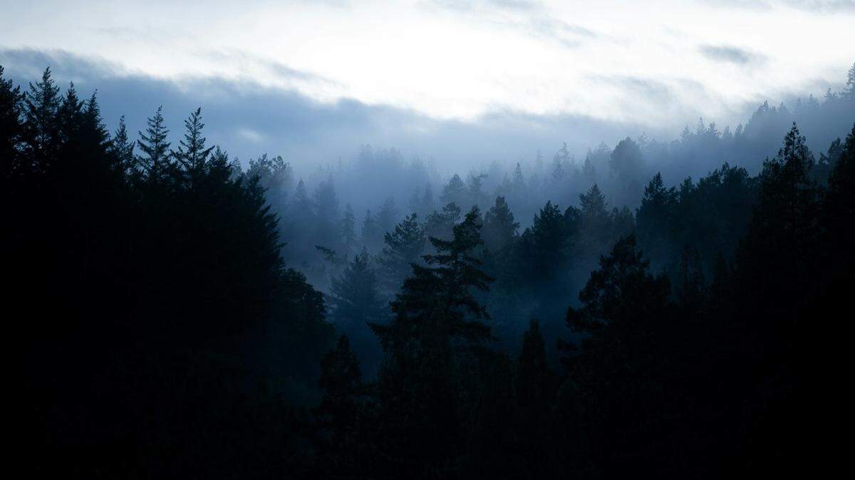 A lost, overdue trail runner was found after mother set off a search for her, rescuers say.