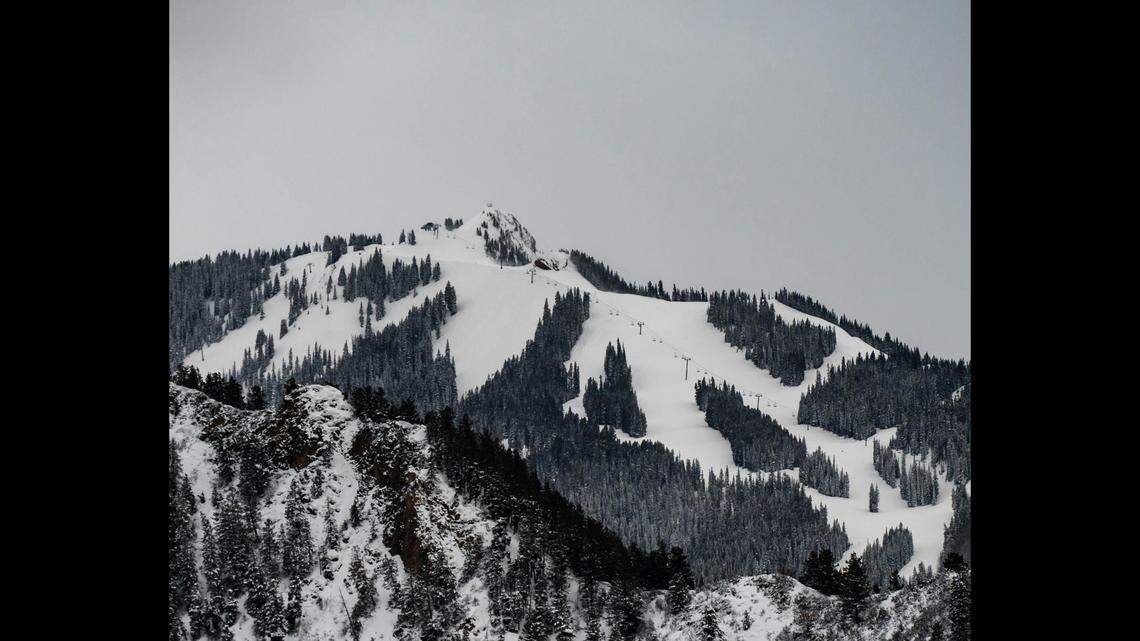 A skier died after colliding with a tree at a Colorado ski resort, according to a skiing company. 
