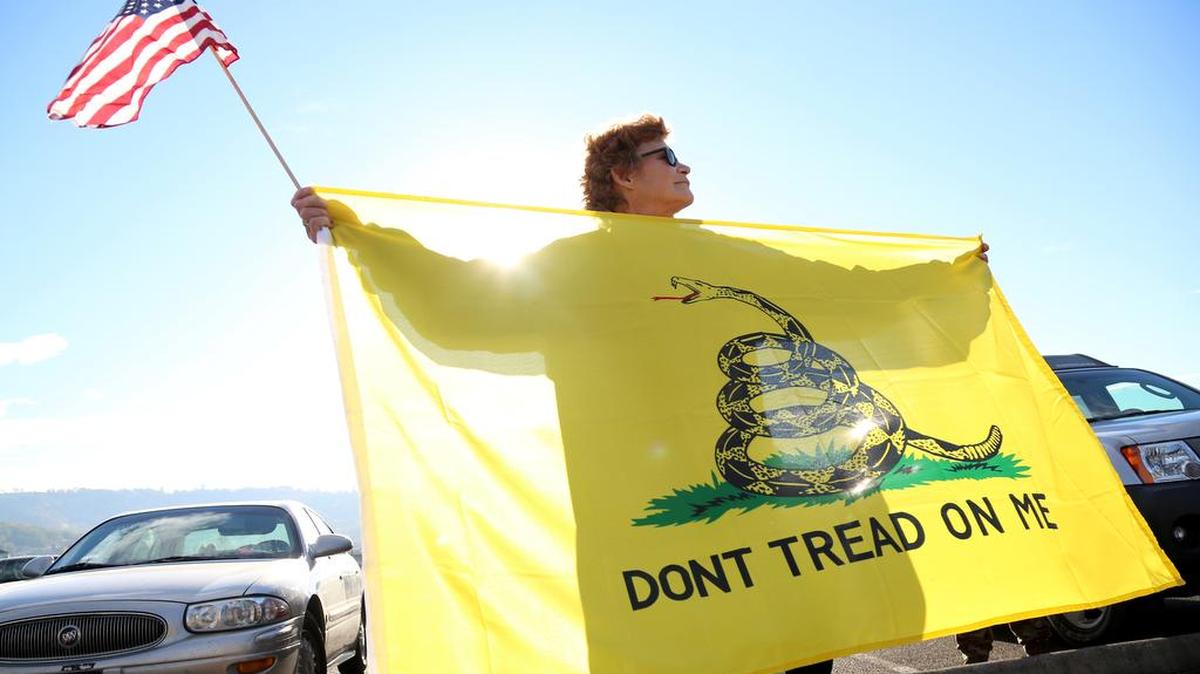 While the Gadsden flag symbol has been embraced by pro-gun movements. An Idaho senator is proposing a bill that would create “Don’t Tread on Me” license plates.
