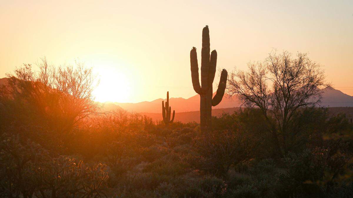 A man was found days after he left his broken down vehicle to find help in Arizona, deputies said.