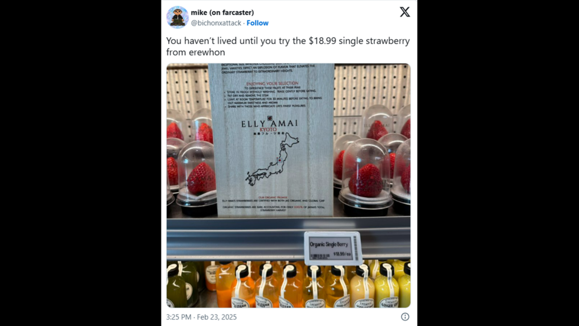 A single strawberry selling for $19 is going viral on TikTok.