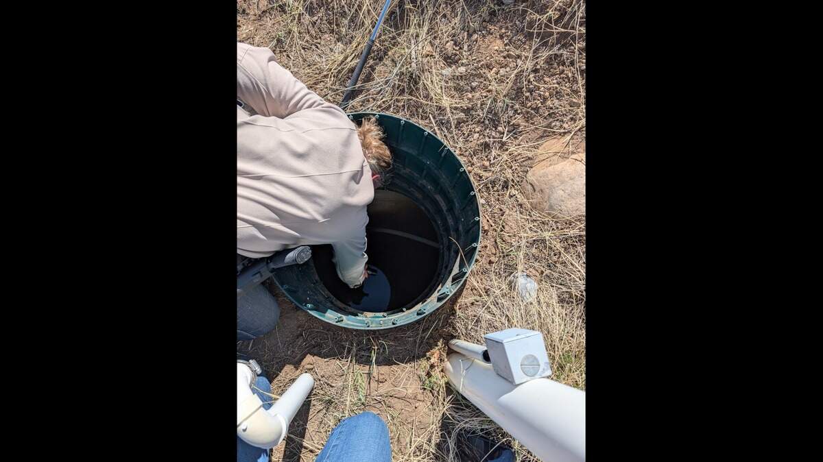 Wildlife officers peered inside a hole to look for creepy critters lurking inside.