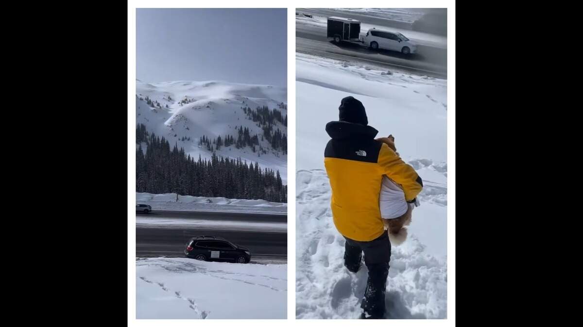 A rescue group stepped in to help when a veteran’s dog vanished after a car crash in Colorado.