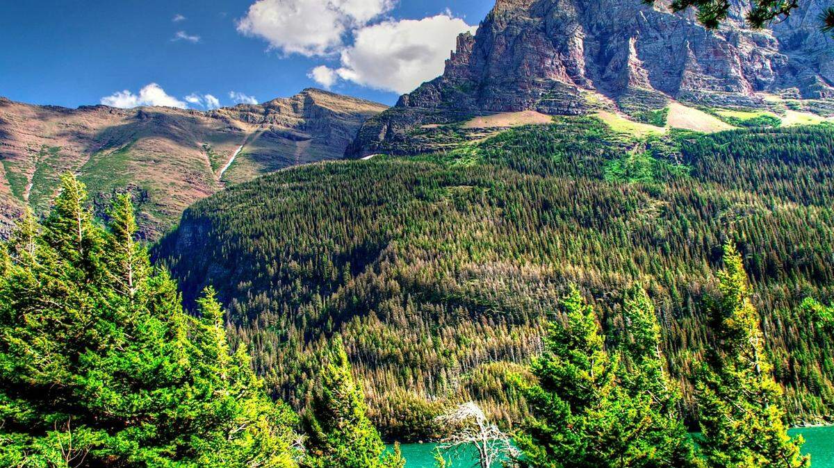 A 73-year-old hiker died after falling 450 feet in Glacier National Park, officials say.
