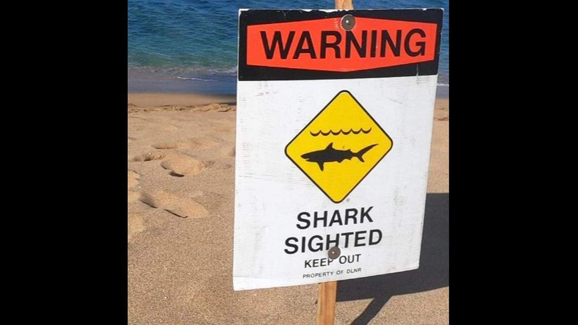 An 11-year-old girl suffered a possible shark bite to her foot at a popular surfing beach, Hawaii rescuers say.