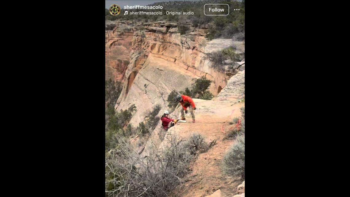 A dog leapt from a car and fell 100 feet, Colorado rescuers said.