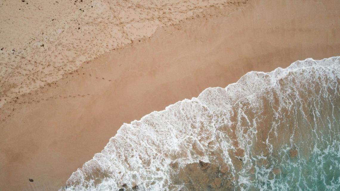 Some areas of the seashore are closed to protect the pups and moms.