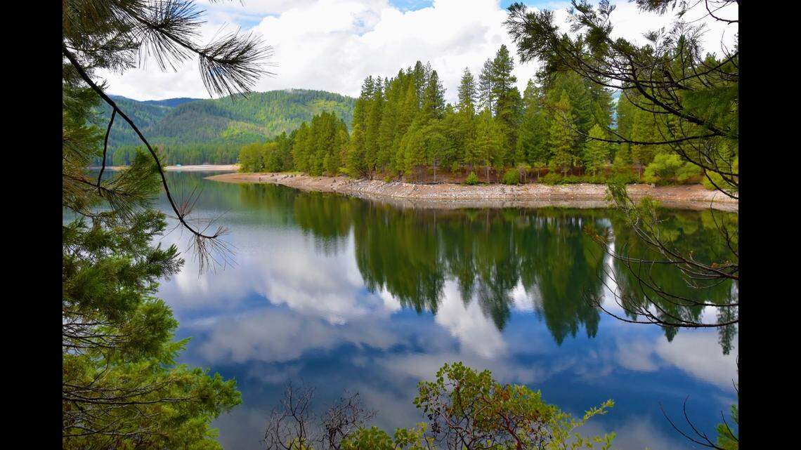 A man drowned as he swam in a lake with his friend and their boat drifted away, California deputies say.