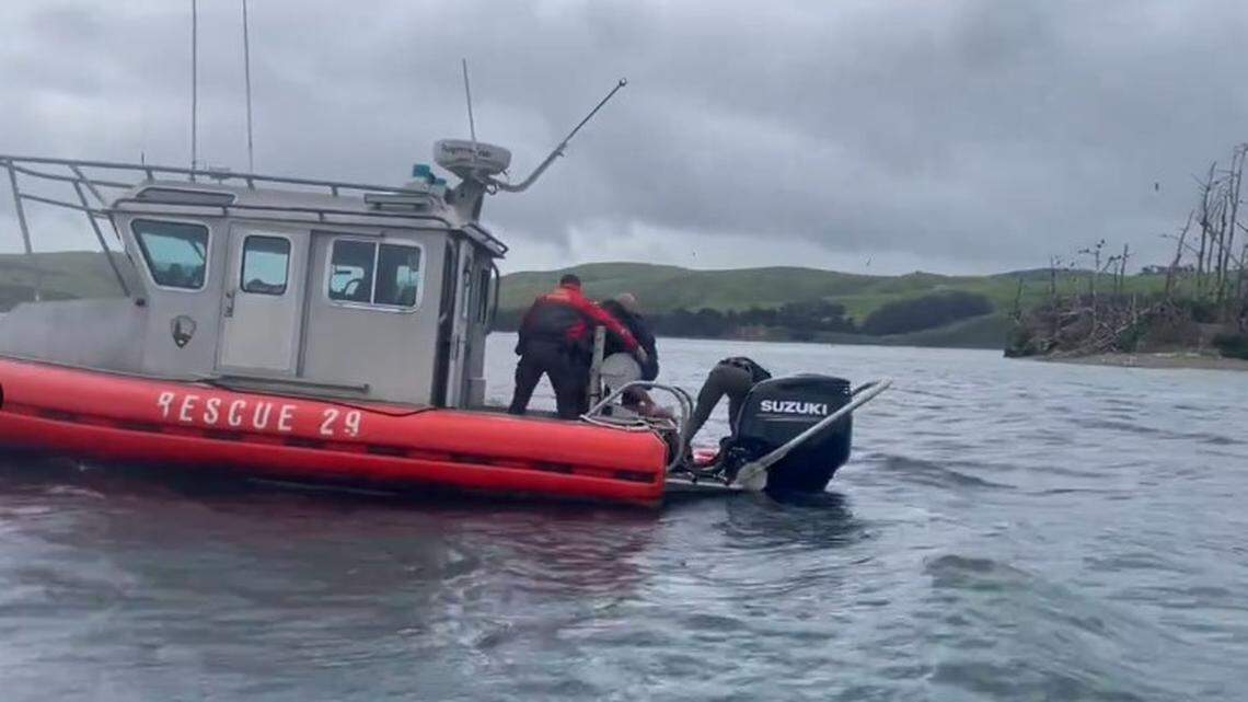 Six adults and a child were found clinging to a capsized boat in Tomales Bay in Northern California, firefighters say.
