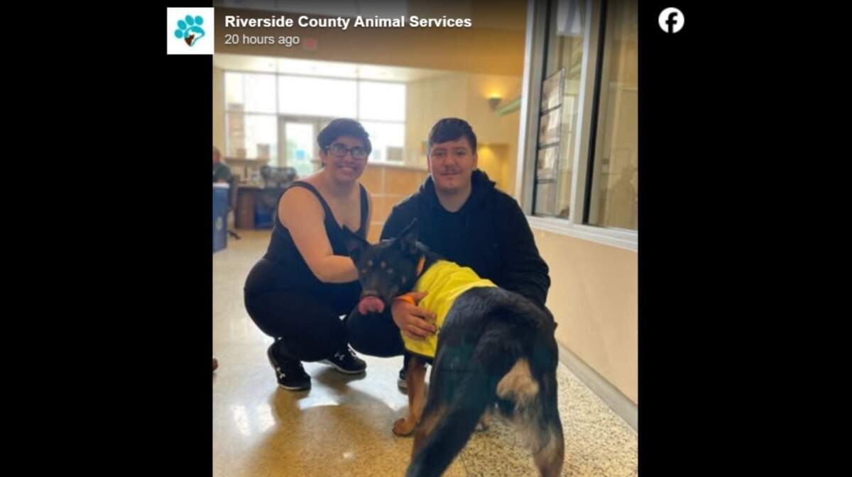 Despite the waiting, “Janet never gave up hope,” the shelter said.