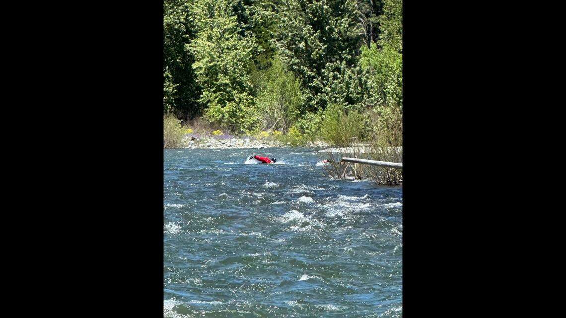 Two rescuers swam to the man stranded on the island, a nonprofit said.