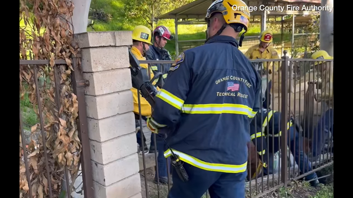 Rescuers cut a portion of a fence to access Nala.