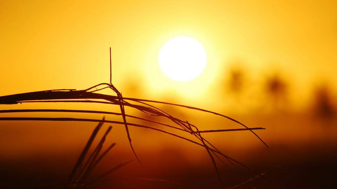 The man had told dispatchers he and a companion had been walking in the desert for six days with little to no food or water.